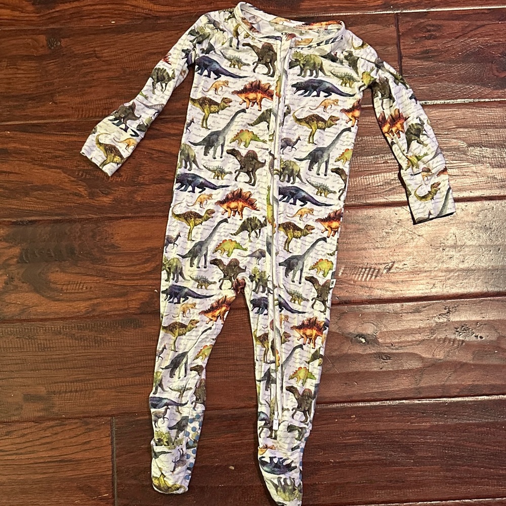 Bums & Roses Bamboo Dinosaur Print Kids Footie Pajamas